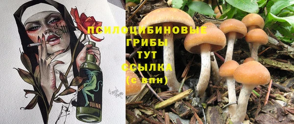 гашик Балахна