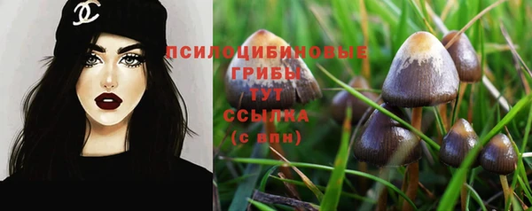 гашик Балахна
