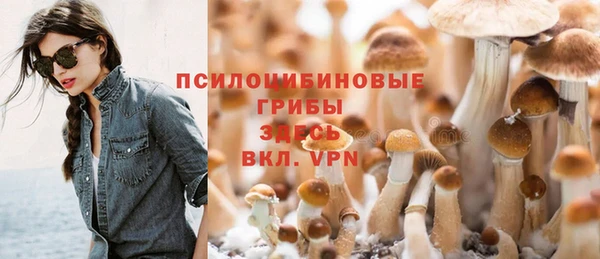 гашик Балахна